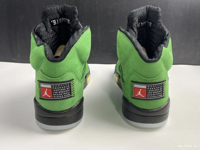 Rep Oregon 5 CK6631-307 SE Ducks Jordan Air 0716